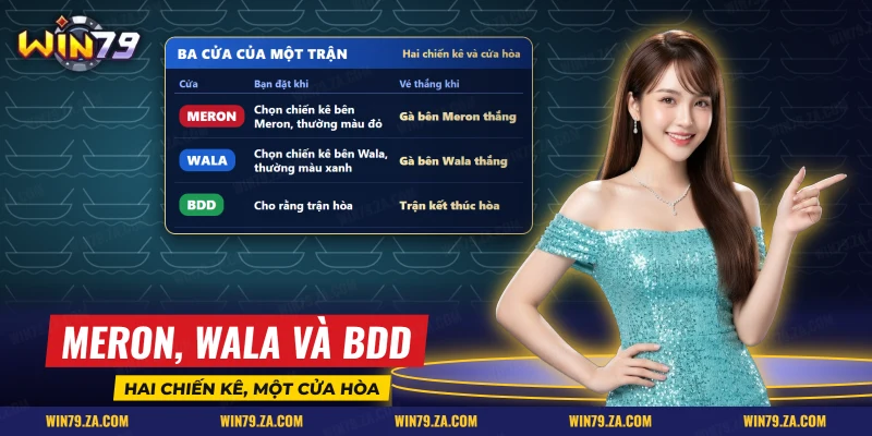 Các cửa Meron, Wala và BDD của một trận đá gà Thomo Win79