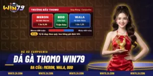 Đá gà Thomo Win79 với ba cửa Meron, Wala, BDD trên màn hình trường đấu Campuchia